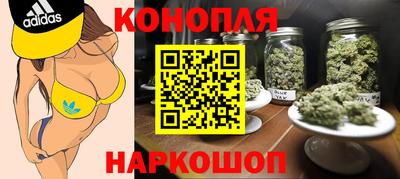 хмурый Дубна