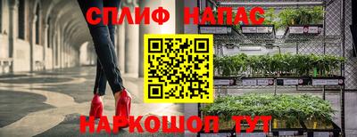Альфа ПВП Гусев