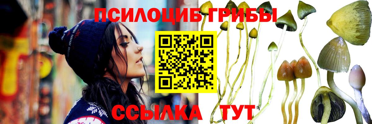 Псилоцибиновые грибы Magic Shrooms Железноводск